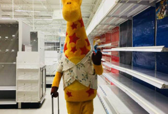 10 Lessons from an Unemployed Giraffe